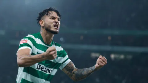 ¿Qué delantero de la Selección Colombia llega mejor al Mundial?