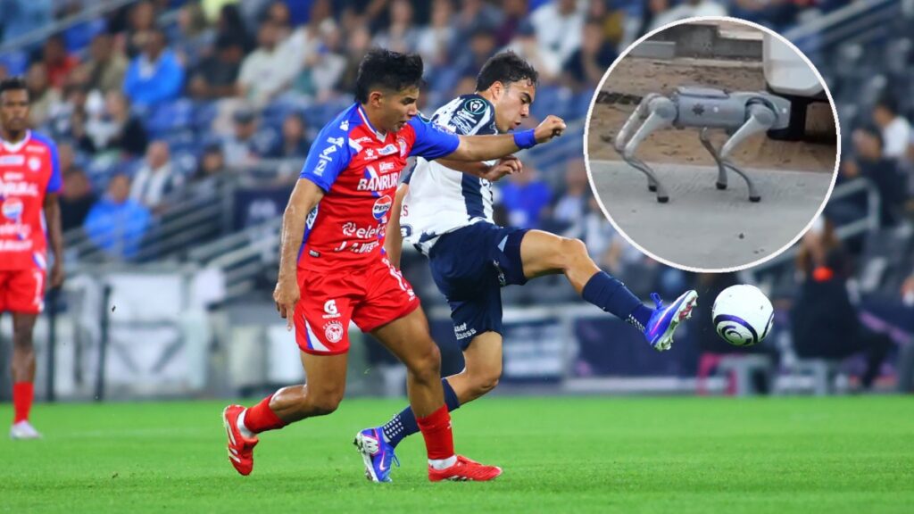 Perros robot en el Monterrey vs Xelajú