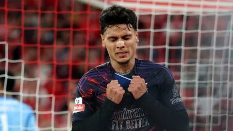 Richard Ríos, el socio de todos en Benfica