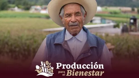 Producción para el Bienestar: ¿Quiénes pueden cobrar hasta 24,000 pesos, a partir de este 30 de abril?