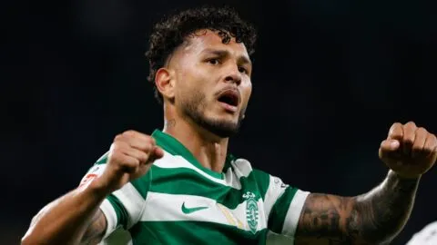 Selección Colombia, rumbo al Mundial 2026: ¿Qué delantero llega mejor y con más goles?