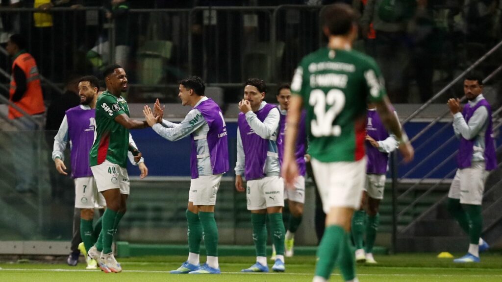 Palmeiras Vs Junior Libertadores