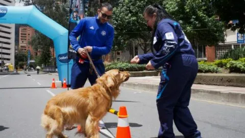 IDRD fortalece la Ciclovía con estaciones “Pit Stop” para el bienestar de mascotas