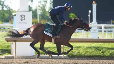 Preakness Stakes 2026, en vivo: fecha, horario, lista de caballos, predicciones y pronósticos