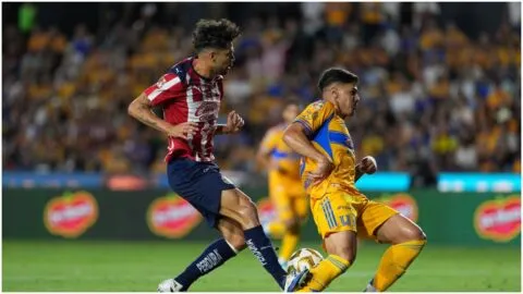 Tigres rechaza que se sientan “agrandados” previo a la vuelta de cuartos de final ante las Chivas