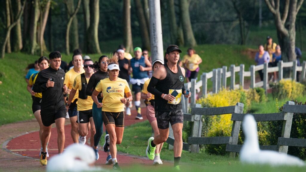 Wings For Life World Run