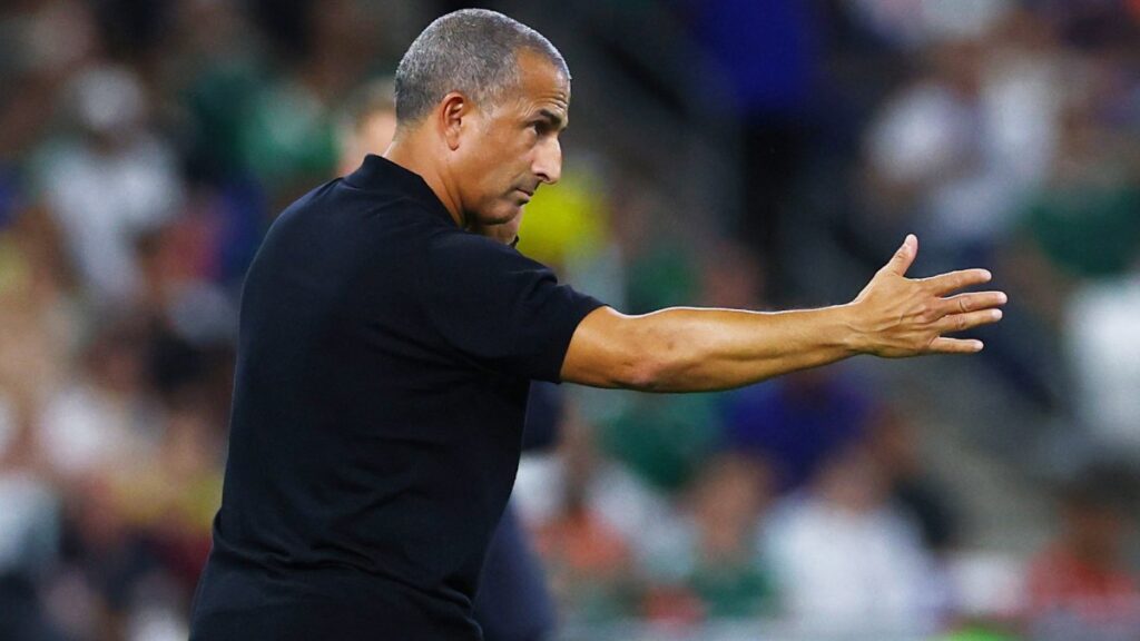 Técnico de Túnez lamentó la goleada ante Suecia