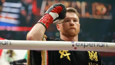 El calendario del boxeo latino de julio a septiembre de 2026: todas las peleas para marcar en la agenda