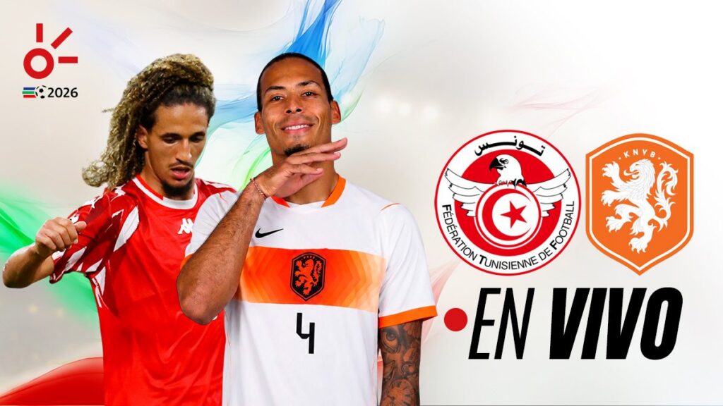 Túnez vs Países Bajos en vivo el partido de hoy del Mundial
