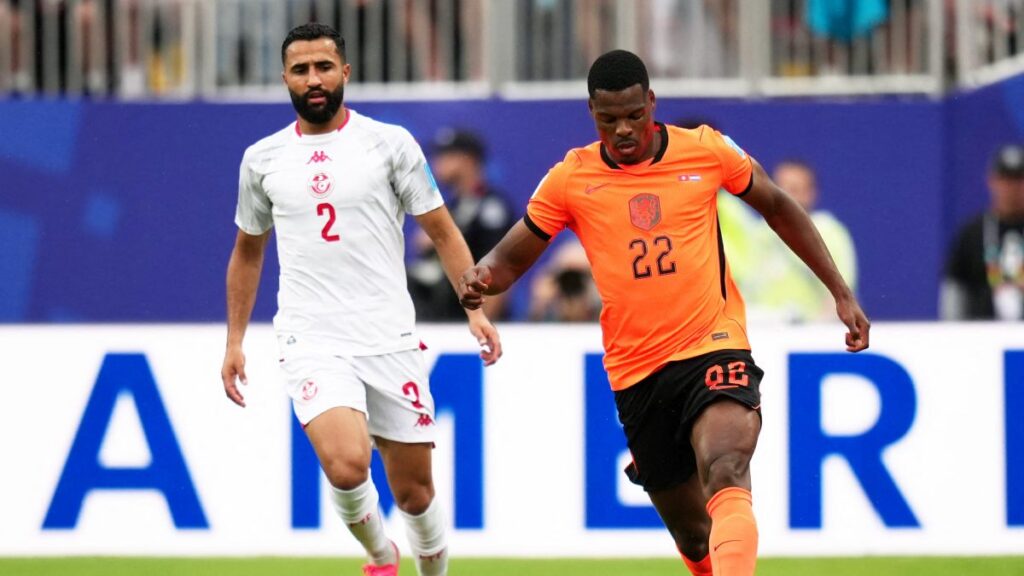 Túnez vs Países Bajos en vivo el partido de hoy del Mundial