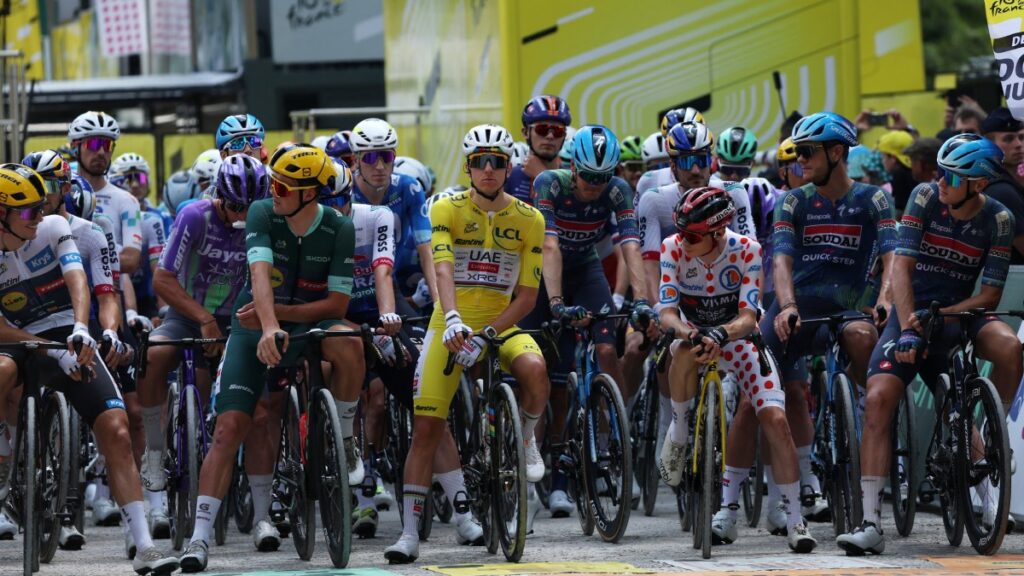 Etapa 13 del Tour de Francia
