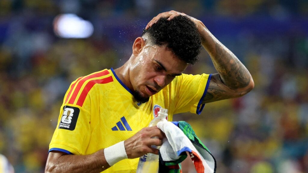 Luis Díaz en el Mundial
