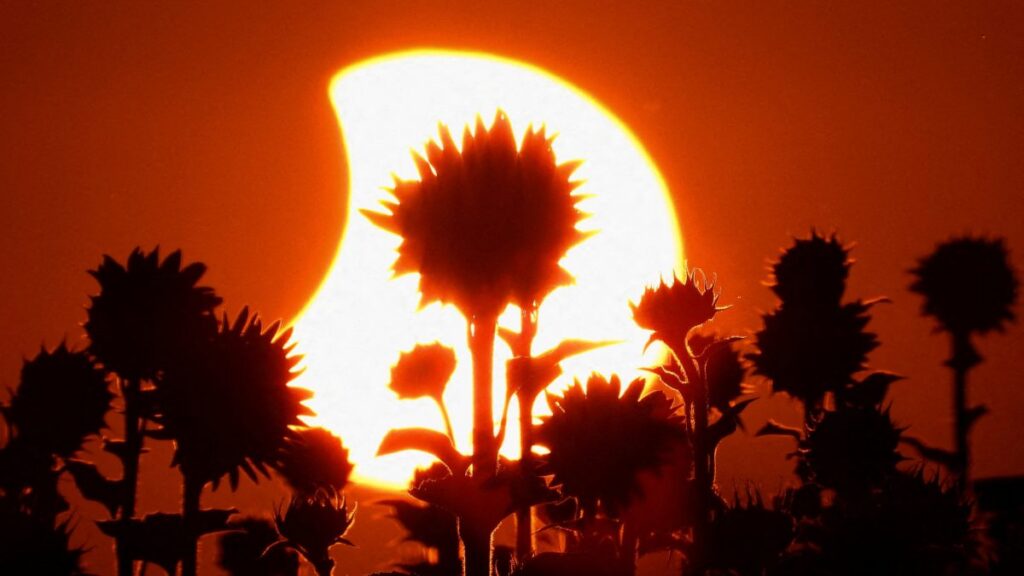 Eclipse solar
