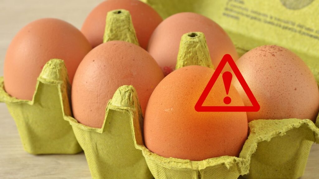 Alerta máxima FDA huevos Salmonela