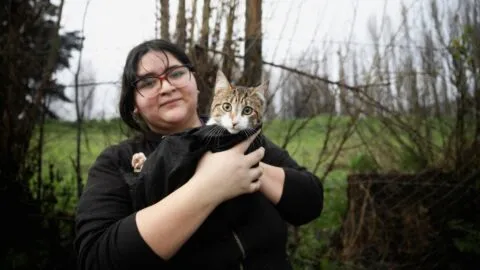 Segundo día del gato: ¿Por qué se festeja, otra vez, a los “mishis” el 8 de agosto?