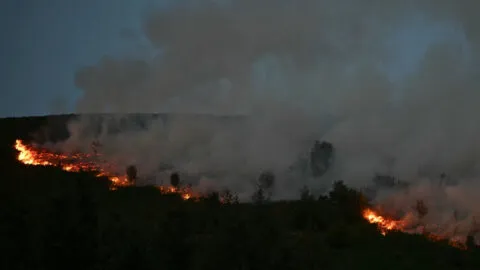 Alerta por incendios forestales en Tolima: hay 800 familias damnificadas, aparte de las afectadas por el terremoto