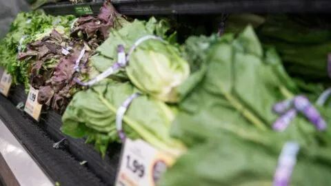 México confirma 33 casos de cyclospora: síntomas y medidas de prevención contra el parásito de la diarrea explosiva