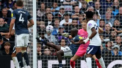 Sin triunfos y sin goles: Newcastle mantiene en el fondo de la Premier League al Tottenham