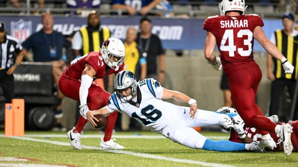 Resumen Panthers Cardinals NFL