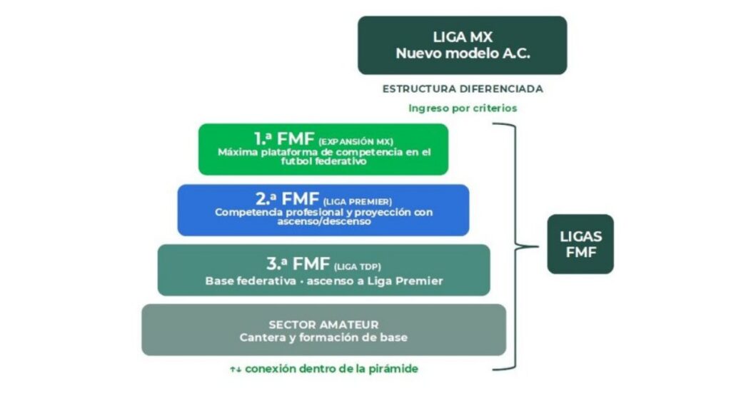 Así es el nuevo modelo de competencias que anunció la Federación Mexicana de Fútbol