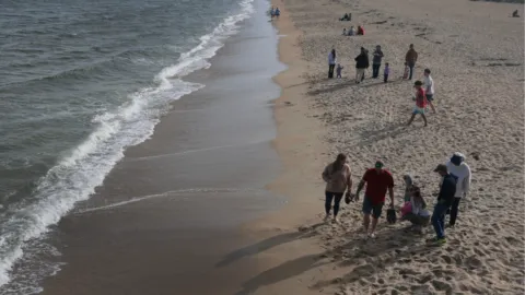 Cierran las playas de Maine tras el avistamiento de un gran tiburón blanco