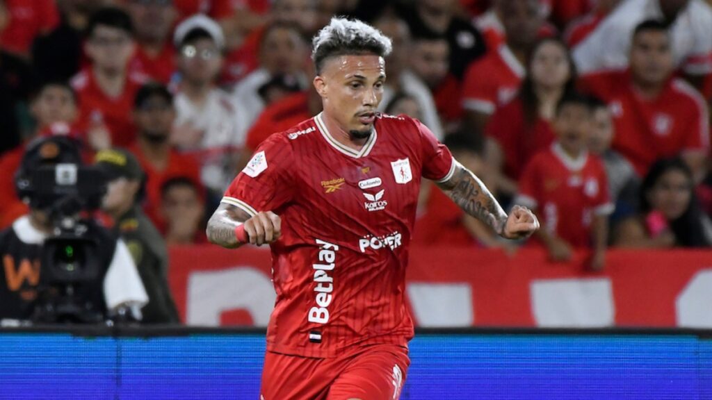Edson Tortolero