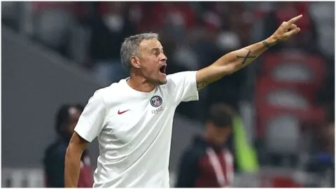 ¡Luis Enrique se queda en París! El PSG amarra al técnico con una renovación multianual