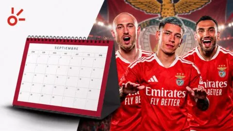 Partidos de hoy 13 de septiembre de 2026, y dónde ver en vivo todo el fútbol de este domingo