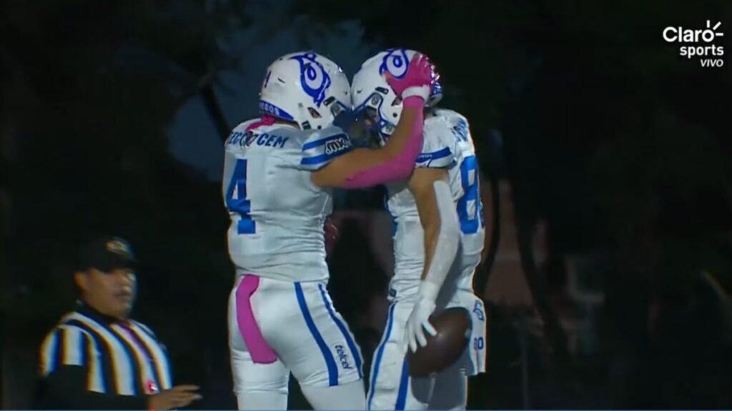ONEFA 2026