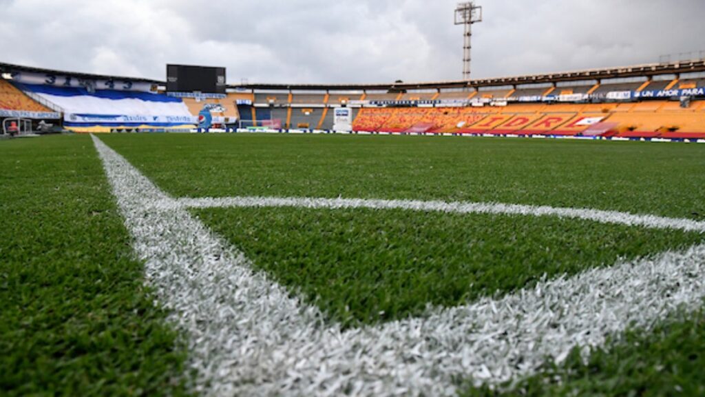 Gramilla del Estadio Nemesio Camacho El Campín.
