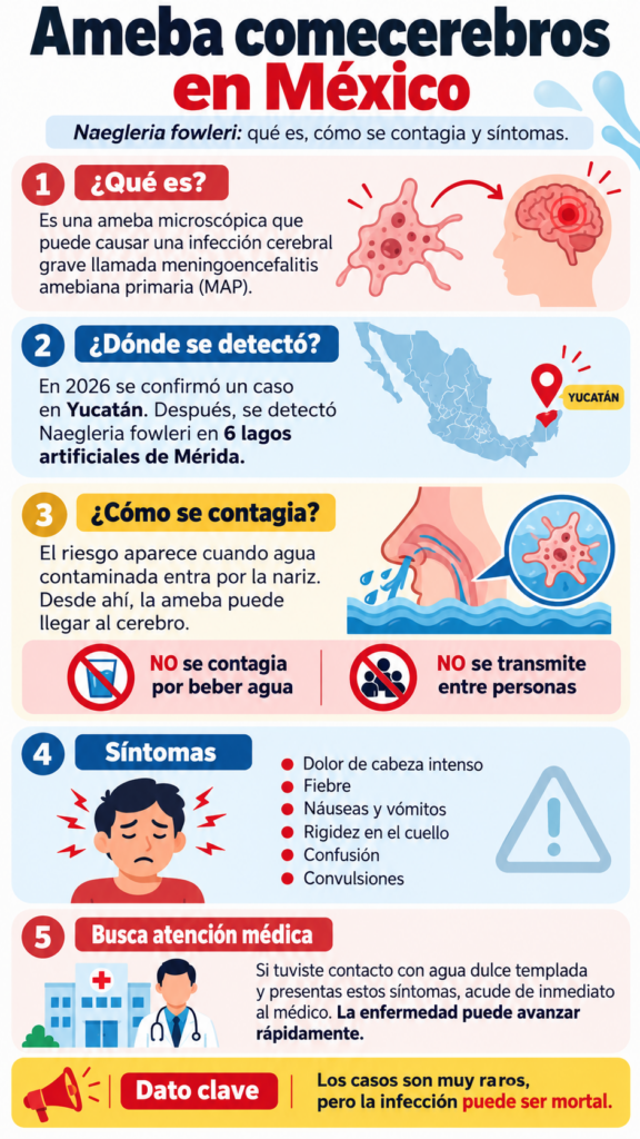 Naegleria fowleri en México: el riesgo está en el agua que entra por la nariz. Claro Sports