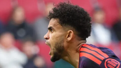 Luis Díaz no desentona, pero tampoco afina