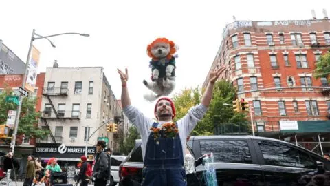 Día de Muertos en México 2026:  esta es la fecha para poner la ofrenda a las mascotas y lo qué debe llevar