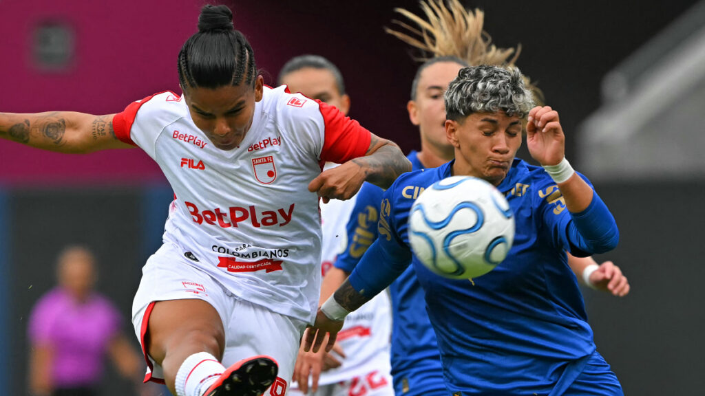 Palmeiras Vs. Santa Fe Libertadores Femenina