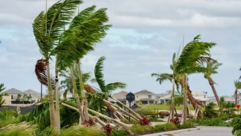 Tormenta tropical Isaías: cuándo podría tocar tierra como huracán en EE.UU.