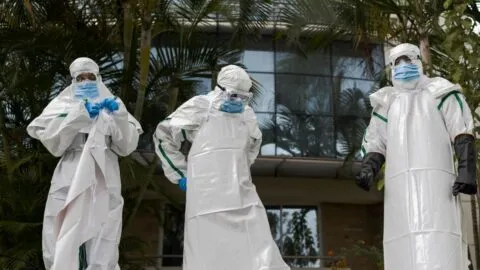 Alerta por el virus Shamonda: ¿Qué es, cómo se contagia y cuáles son sus síntomas?
