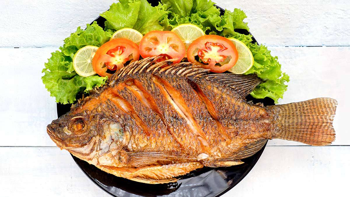 Que Carnes Si Se Pueden Comer En Cuaresma