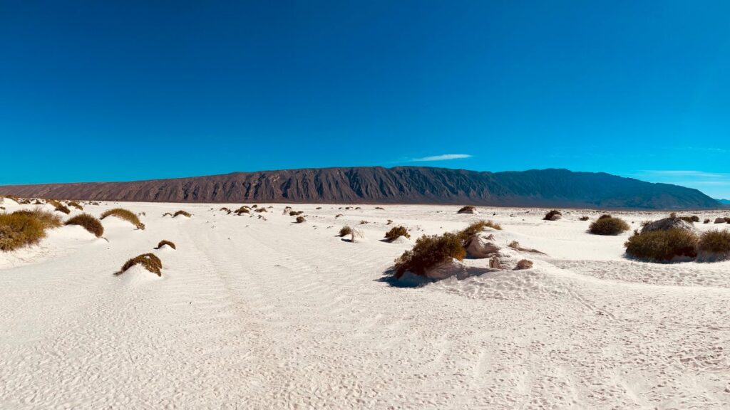 Panorámica de zona desértica en Coahuila