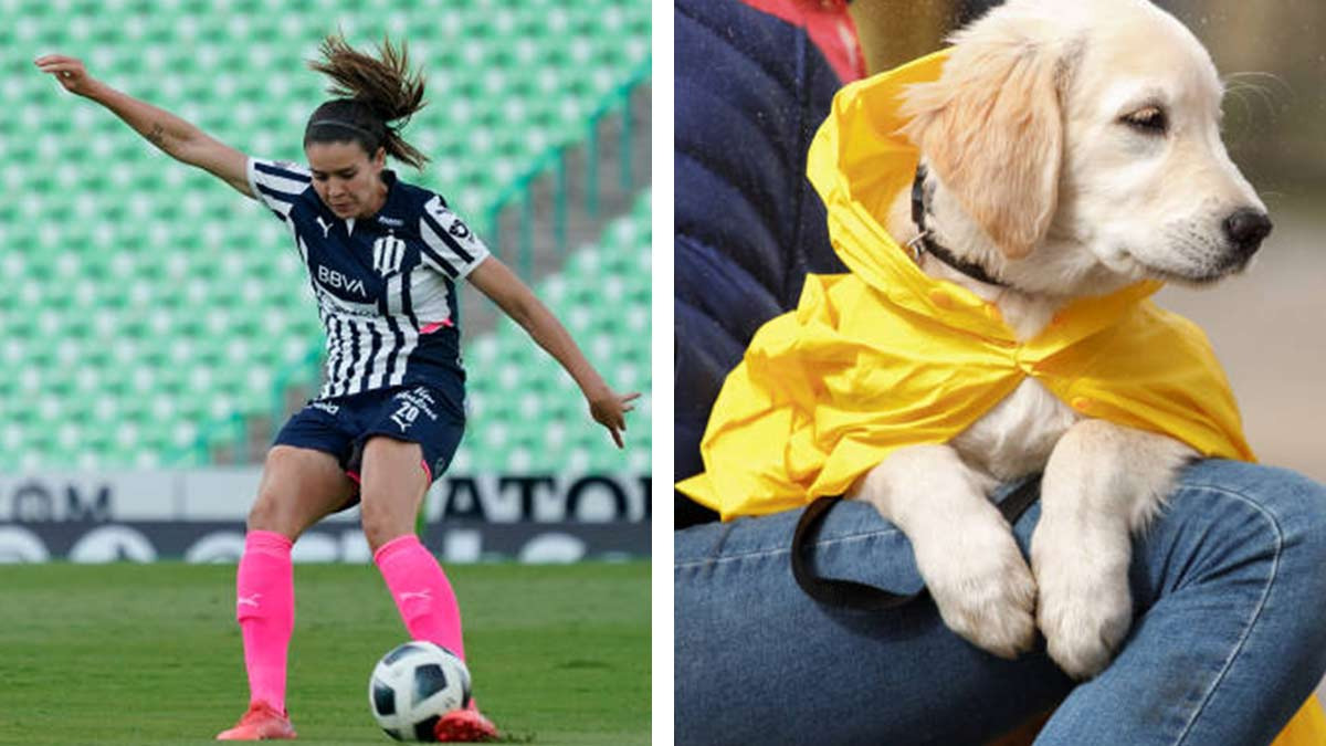 Jugadora de Rayadas pide en transmisión de partido que resguarden a sus mascotas de la lluvia