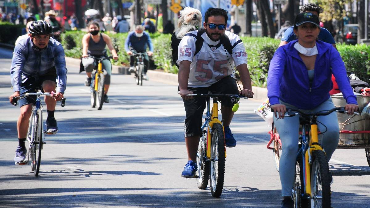Paseo Dominical “Muévete en Bici” llega a Coyoacán