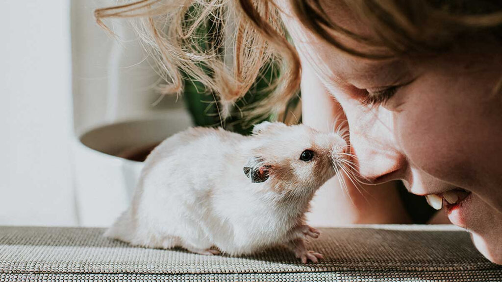 Mujer viaja por el mundo para esparcir las cenizas de su hámster