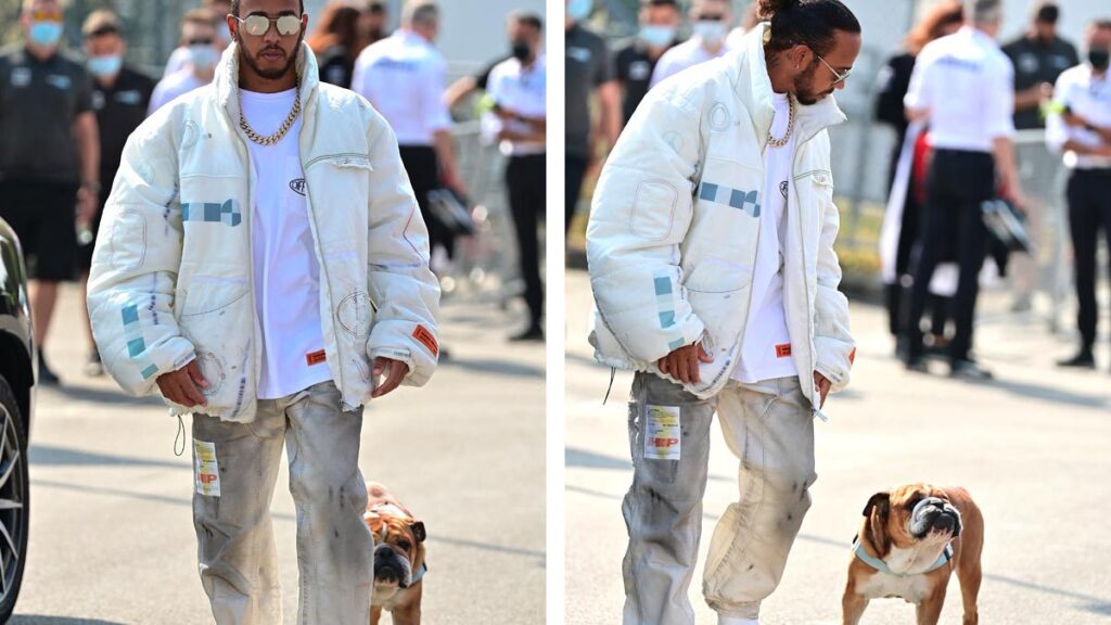 Roscoe, perro del piloto Lewis Hamilton, celebra su cumpleaños
