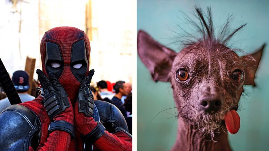 Dogpool perro de Deadpool