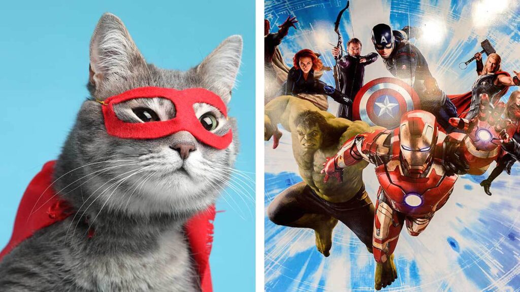 Gatitos Estilo Marvel