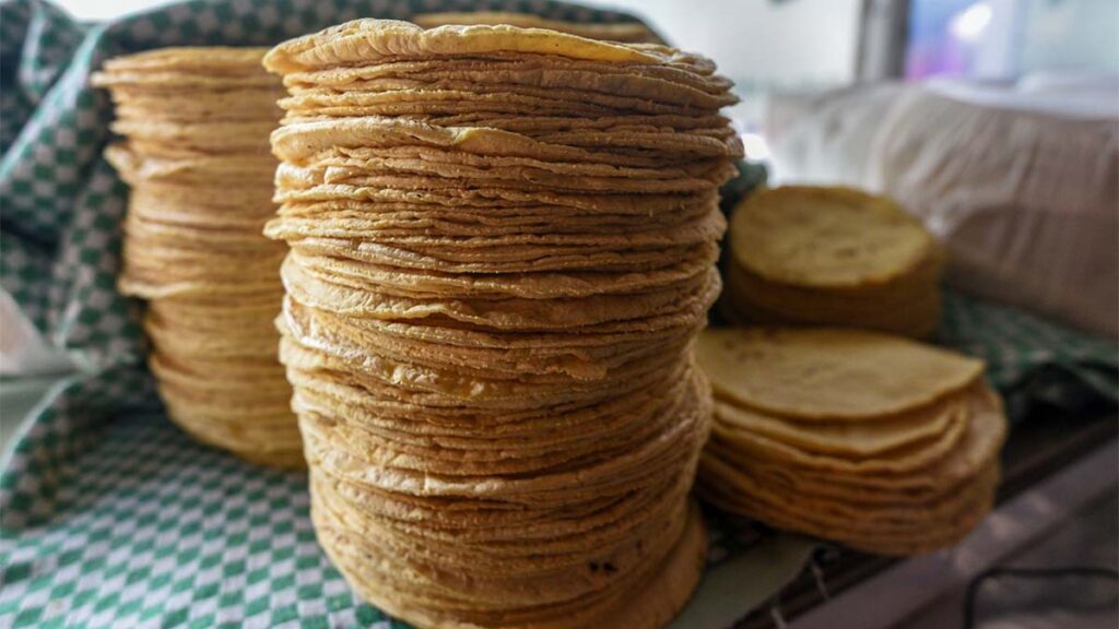 Precio del kilo de tortilla en México: costos más altos y más bajos en noviembre