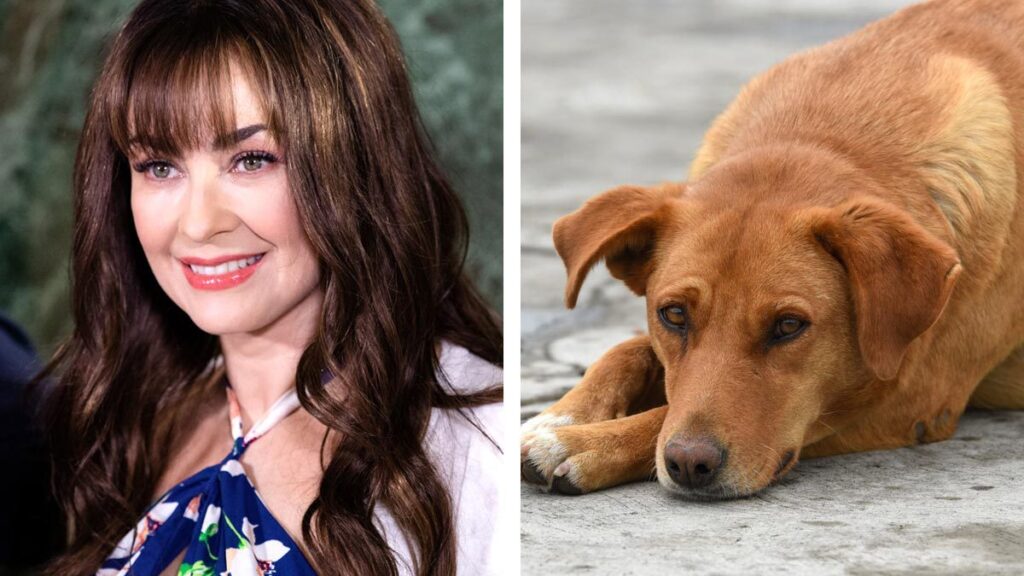 Aracely Arámbula, conmovida con perro que encontró en la Basílica de Guadalupe