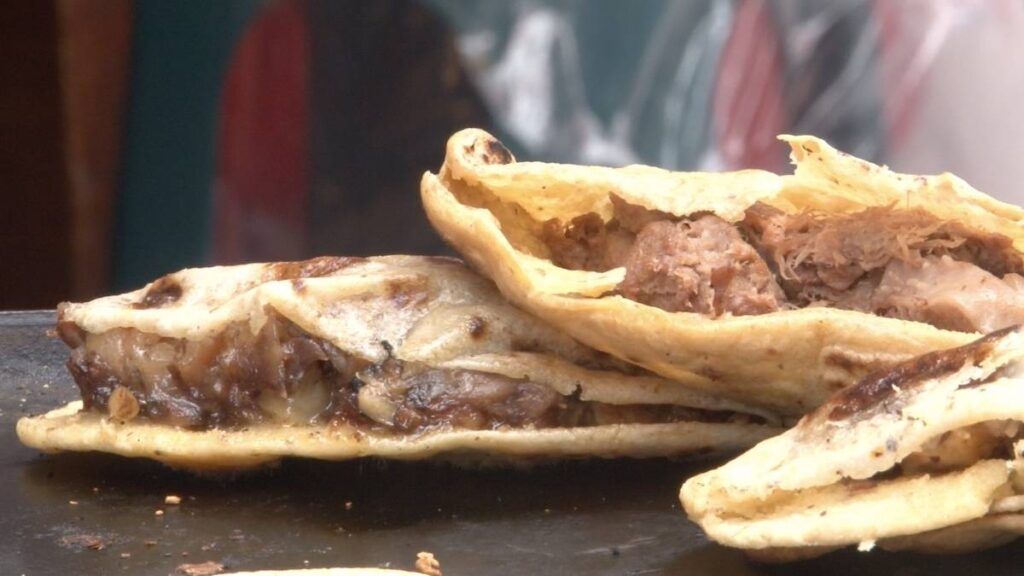 Festival De La Gordita