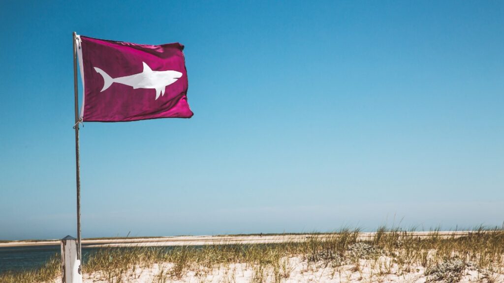 Jalisco: activan Bandera Morada en playas tras ataque de tiburón en Cihuatlán
