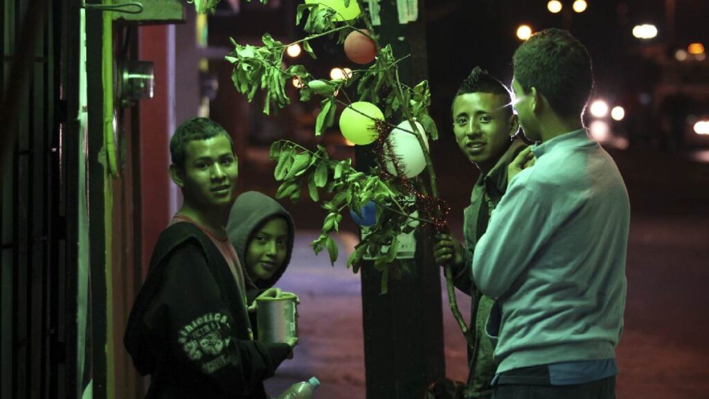 la rama tradición Navidad posadas