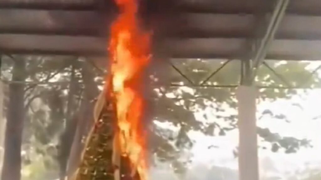 puebla-se-incendia-arbol-de-navidad-en-cecyte-tecamachalco
